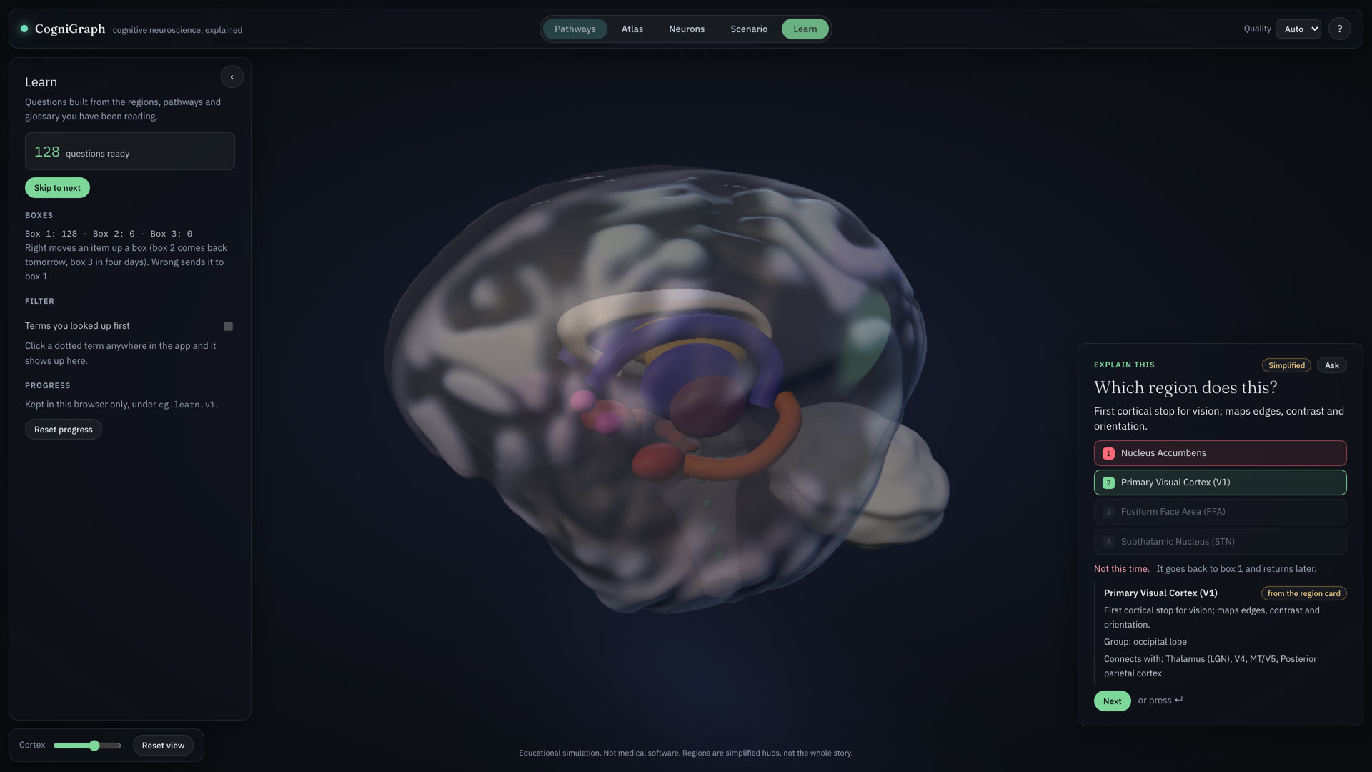 Learn mode: 128 questions ready, three Leitner boxes, and a question card asking Which region does this? with Primary Visual Cortex marked correct and the region glowing green on the brain.