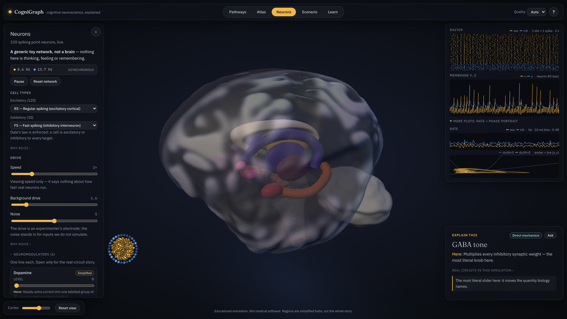 Neurons mode: a spike raster and membrane-voltage traces in amber, cell-type and drive controls on the left, and a card explaining the GABA tone slider, tagged Direct mechanism.