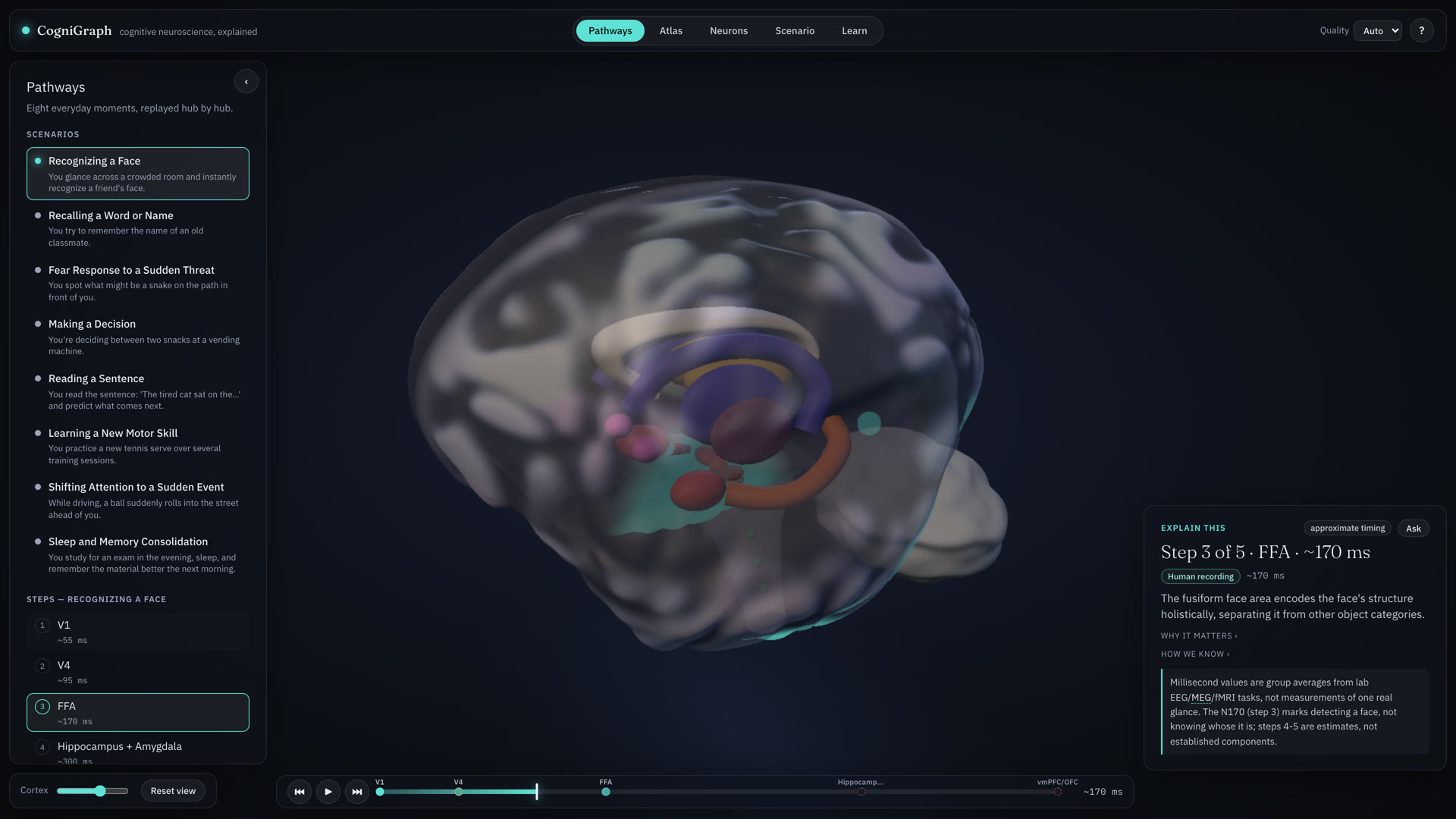 Pathways mode: the brain with the fusiform face area lit in teal, a timeline at the bottom and a step card reading Step 3 of 5, FFA, about 170 ms, tagged Human recording.