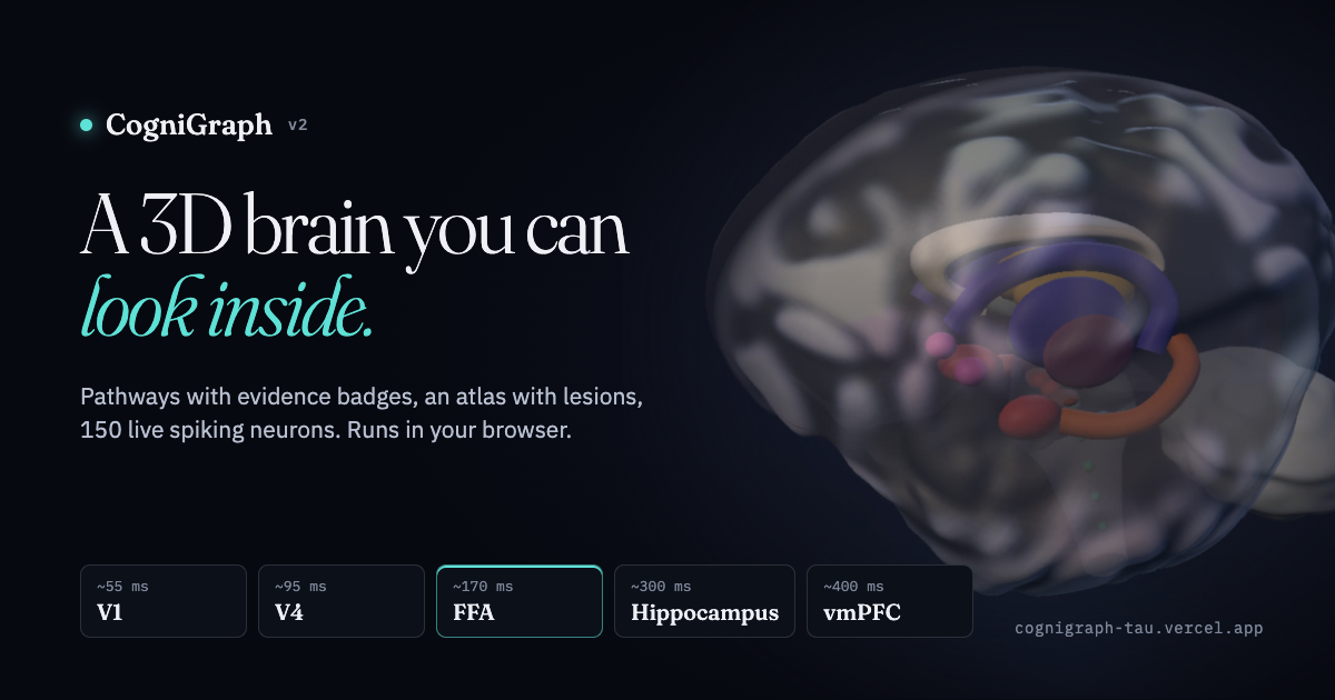 CogniGraph v2: an interactive 3D brain for learning neuroscience